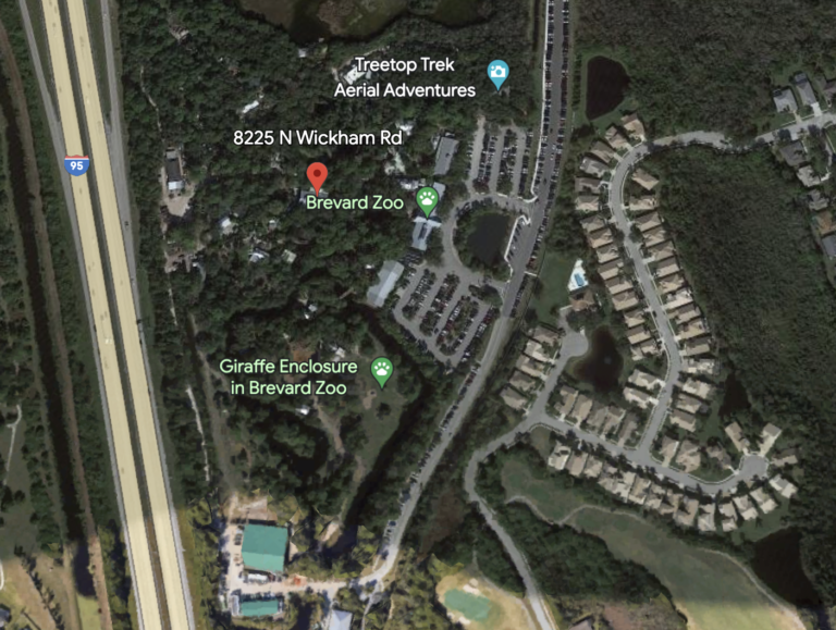 Brevard Zoo Hopeful About Manatee Rehabilitation Center at 8225 N